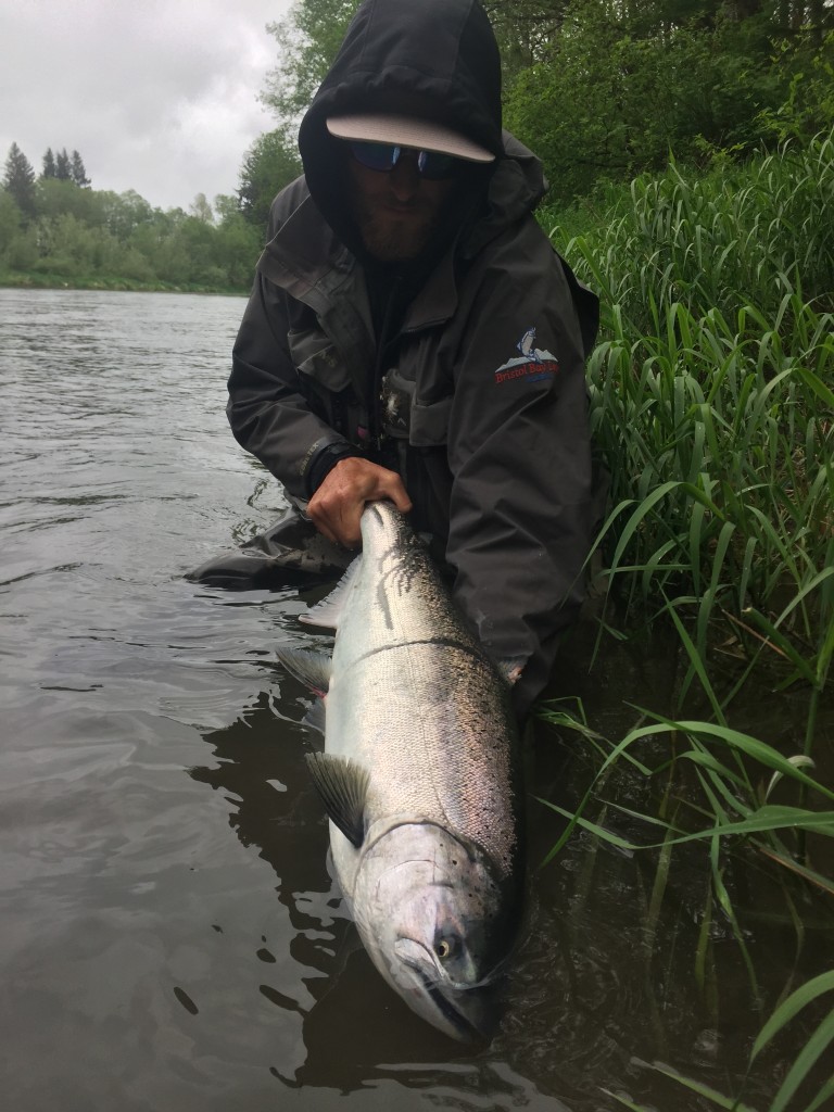Nate fished with Ryan and git this wild spring chinook